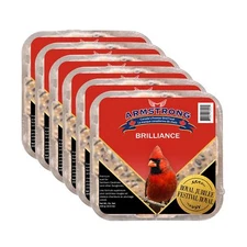 Armstrong Wild Bird Food Royal Jubilee Brilliance Suet Cake, 10.6oz (Pack of 6)