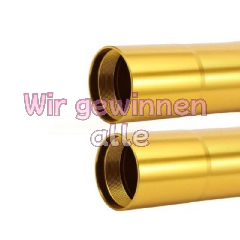 Stanchions Fork Tube Outer Fork Tube For Kawasaki Ninja Zx10r Zx-10r 2004-2005