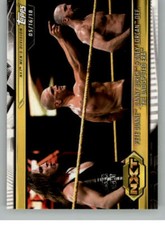2019 Topps WWE NXT Wrestling Base Singles (Pick Your Cards)