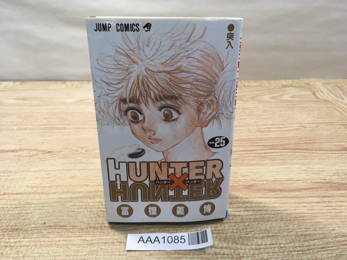 Hunter x Hunter Vol.25 Japanese Manga - AAA1085 | eBay
