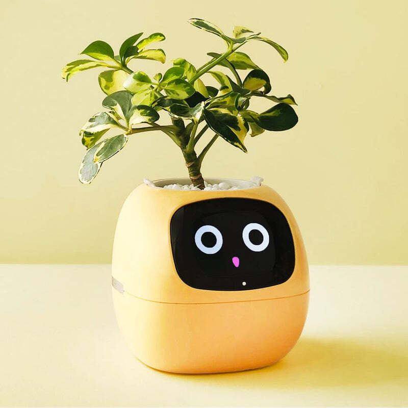 Jardinière interactive blanche pour sublimer et végétaliser votre salon