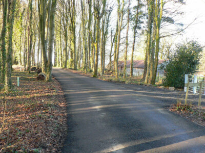 Foto 6x4 von Bäumen gesäumte Gasse neben dem natürlichen Gräberfeld bei Karte c2009