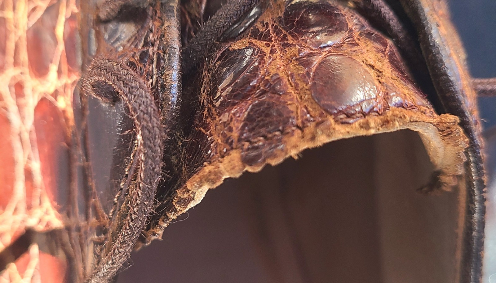 Nettleton Alligator Split Toe  Lace Up Approx Siz… - image 13