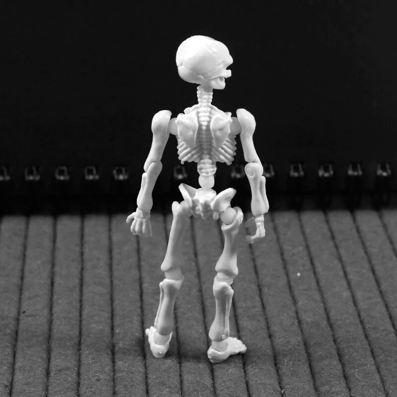 Movable Mr. Skeleton Human Model Skull Full Body Mini Figure Toy