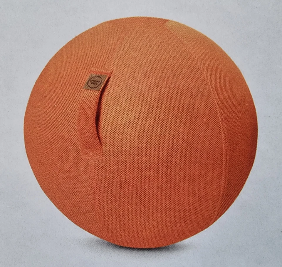 Sitzball mit Mesh-Bezug Ø65cm, Strapazierfähig, Anti-Platzen, Ergonomisch Sitzen - Bild 1 von 1