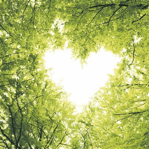 20 Servietten Nature Love Blick Himmel Bäume Herz Wald natur grün Tischdeko - Afbeelding 1 van 1
