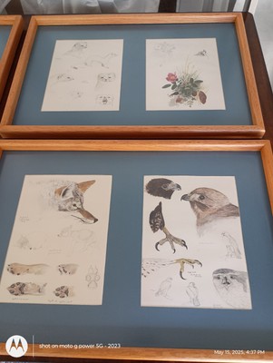  8 Lithographs of Animal Sketches by Olaus J. Murie