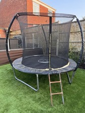 Trampoline with enclosure and ladder