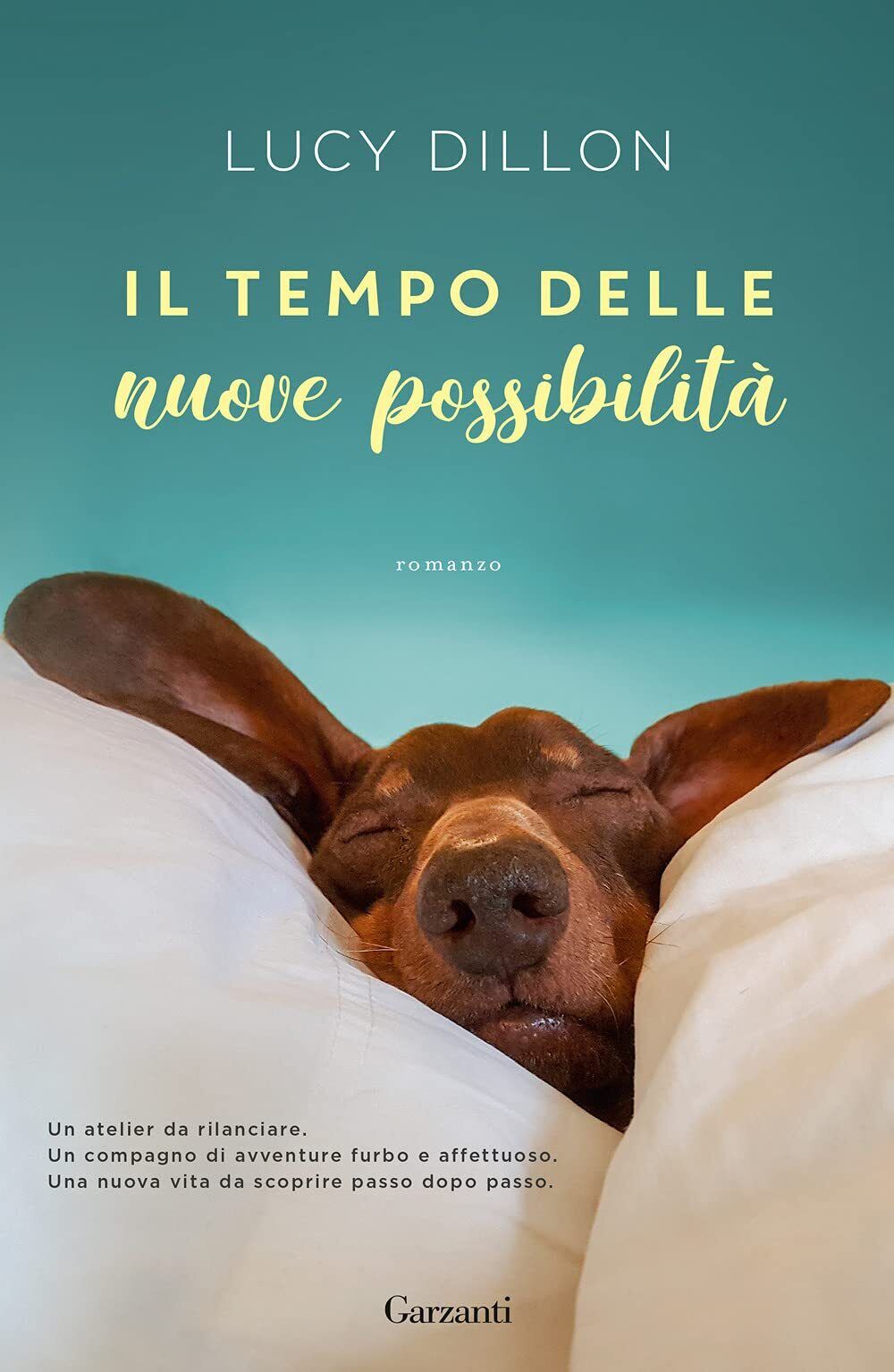 Foto 1 di 1
