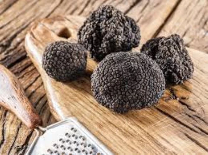 Precious Italian fresh black truffles. Black truffle 260g. 9.2 oz. Mushrooms. - Image 2 of 4