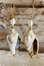 Natural Sea Shell And Freshwater Pearl In Drop Gold Plated Earrings