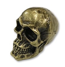 Skull Skeleton Skull Bone Skull Skeleton Brass Brass Shifter Shift Knob