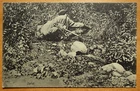 "Thirst" soldier drinks from stream Germany WW1 military postcard Kriegskarte