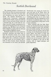 The Scottish Deerhound Deer Hound - CUSTOM MATTED - Vintage Dog Art Print - "G"