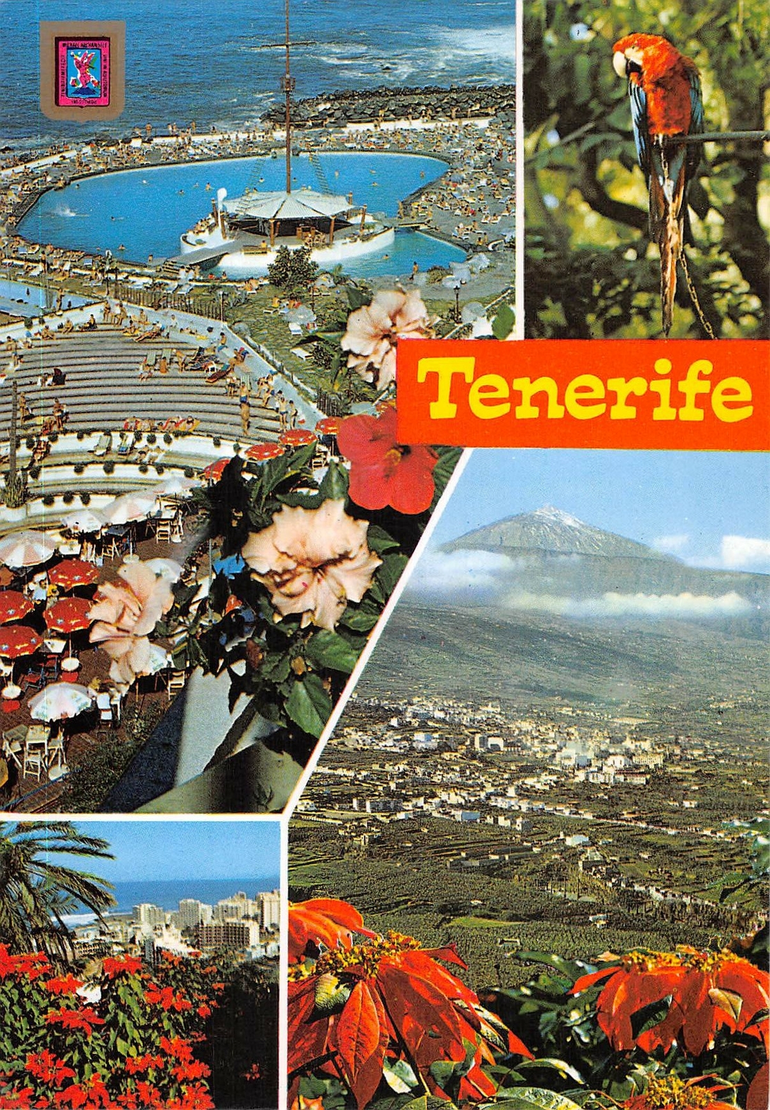 B108736 España Tenerife Hotel Piscina Loro Panorama