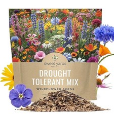 Drought Tolerant Wildflowers Mix – Extra Large Packet – Over 1 Ounce Pouch 344.00 per gallon
