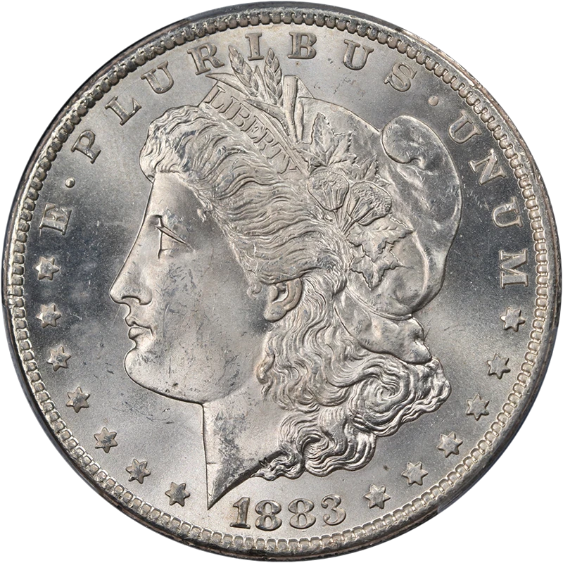 MS 64 Graded 1883 Year Morgan US Dollars (1878-1921) for sale | eBay
