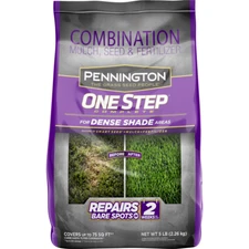 PENNINGTON GRASS SEED Dense Shade Patch & Repair Mix, Partial to Full Shade