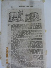 2 Seiten Vollst. Kräuterbuch Adam Lonitzer 1737 Rezepturen Ochsenblutwasser etc.