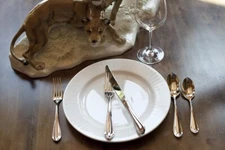 Fortessa Forge 18/10 Stainless Steel Flatware Salad/Dessert Fork, Set of 12