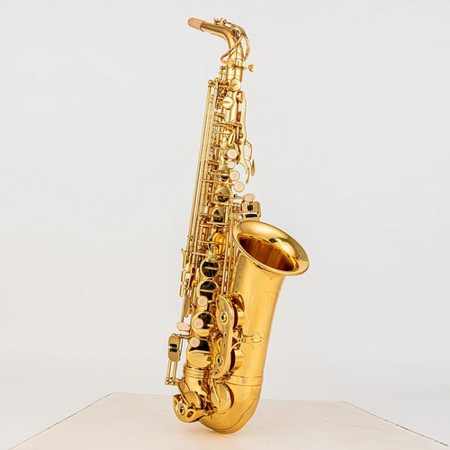 French 802 alto saxophone Alto E-flat lacquer gold brass Alto sax with case - Picture 2 of 13