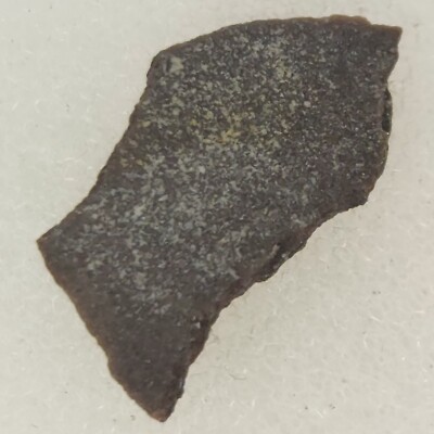 Unidentified Dinosaur Egg Shell Fossil (Orodromeus?) - Two Medicine Fm. - MT