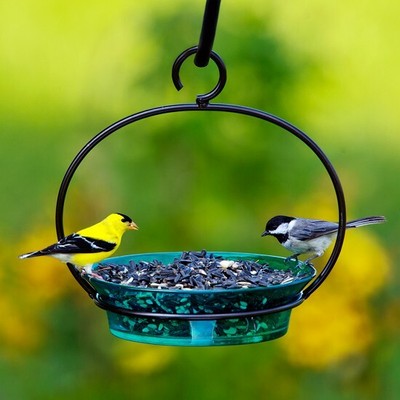 Couronne Co Aqua Cuban Bowl Hanging Birdbath And Bird Feeder