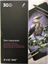 Spectrum Noir Premium Black Paper Pad, 9" x 12", 240 gsm, 30 pages 638870A