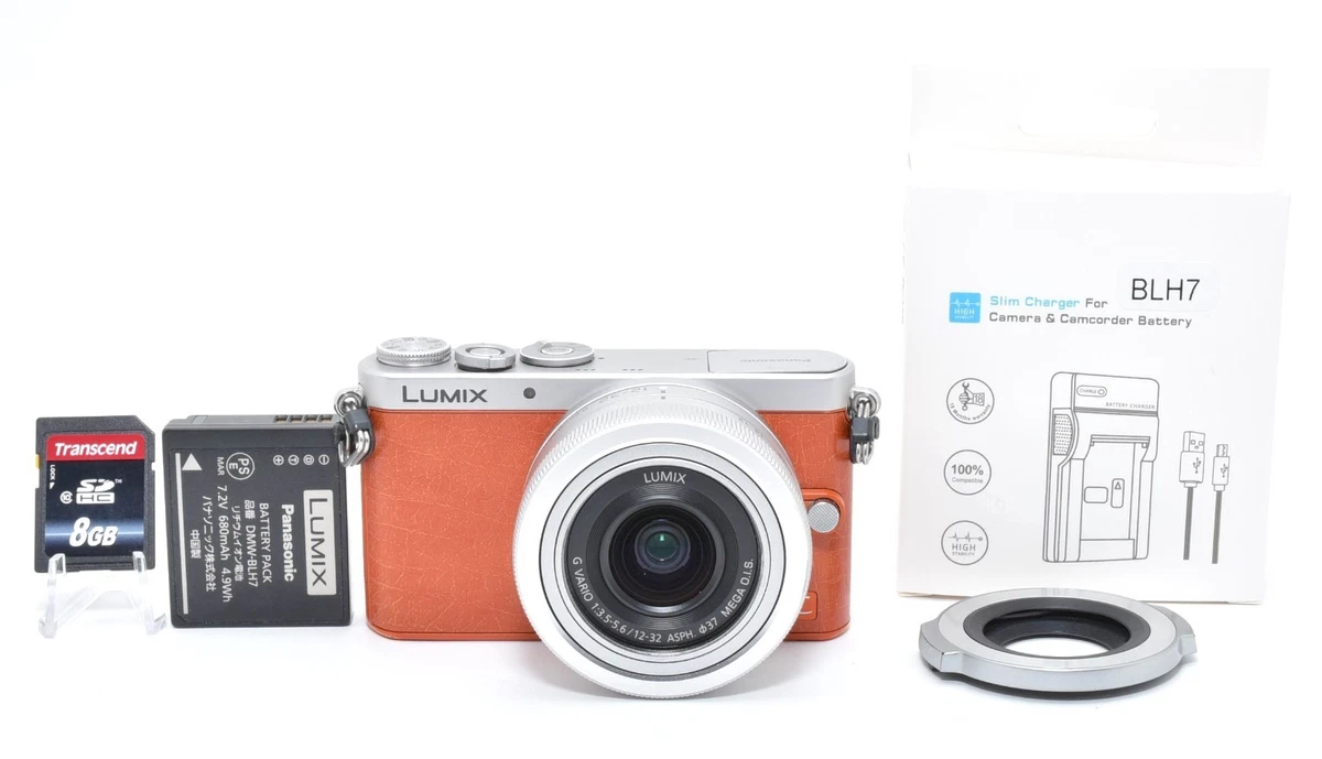 Panasonic LUMIX GM1 Digital Cameras for Sale | Shop New & Used