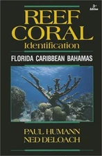 Reef Coral Identification: Florida Caribbean Bahamas, Including Marine Plants (P