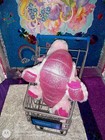 Foto 6 di 14