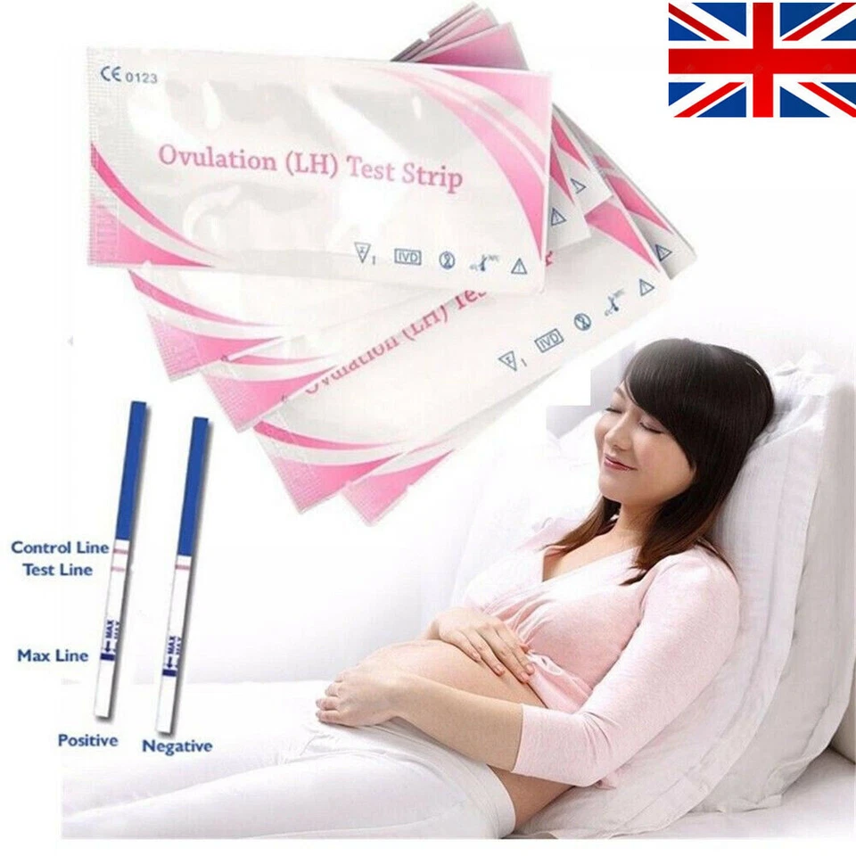 1-100X Ovulation and Pregnancy Test Strips Ultra Early Home Urine Tests Kit, - Image 2 of 4