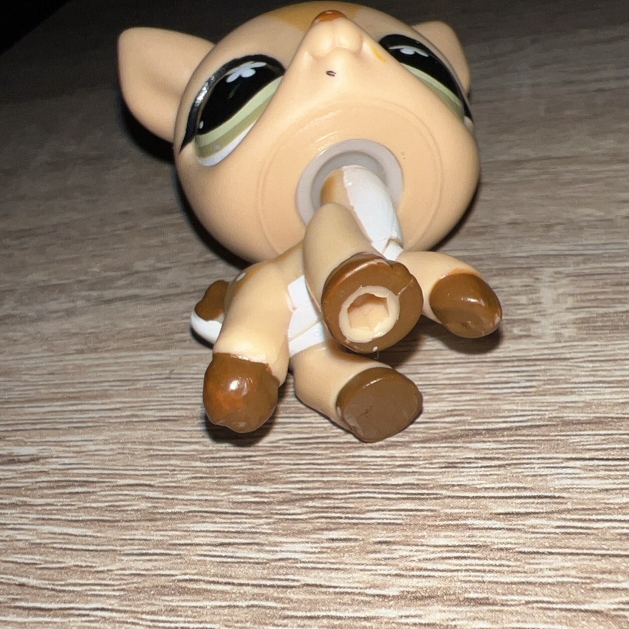 Bild 2 von 4