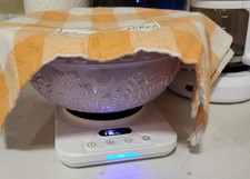 Sourdough Starter Warmer with Precise Thermostat, 24H Timer  Memory White