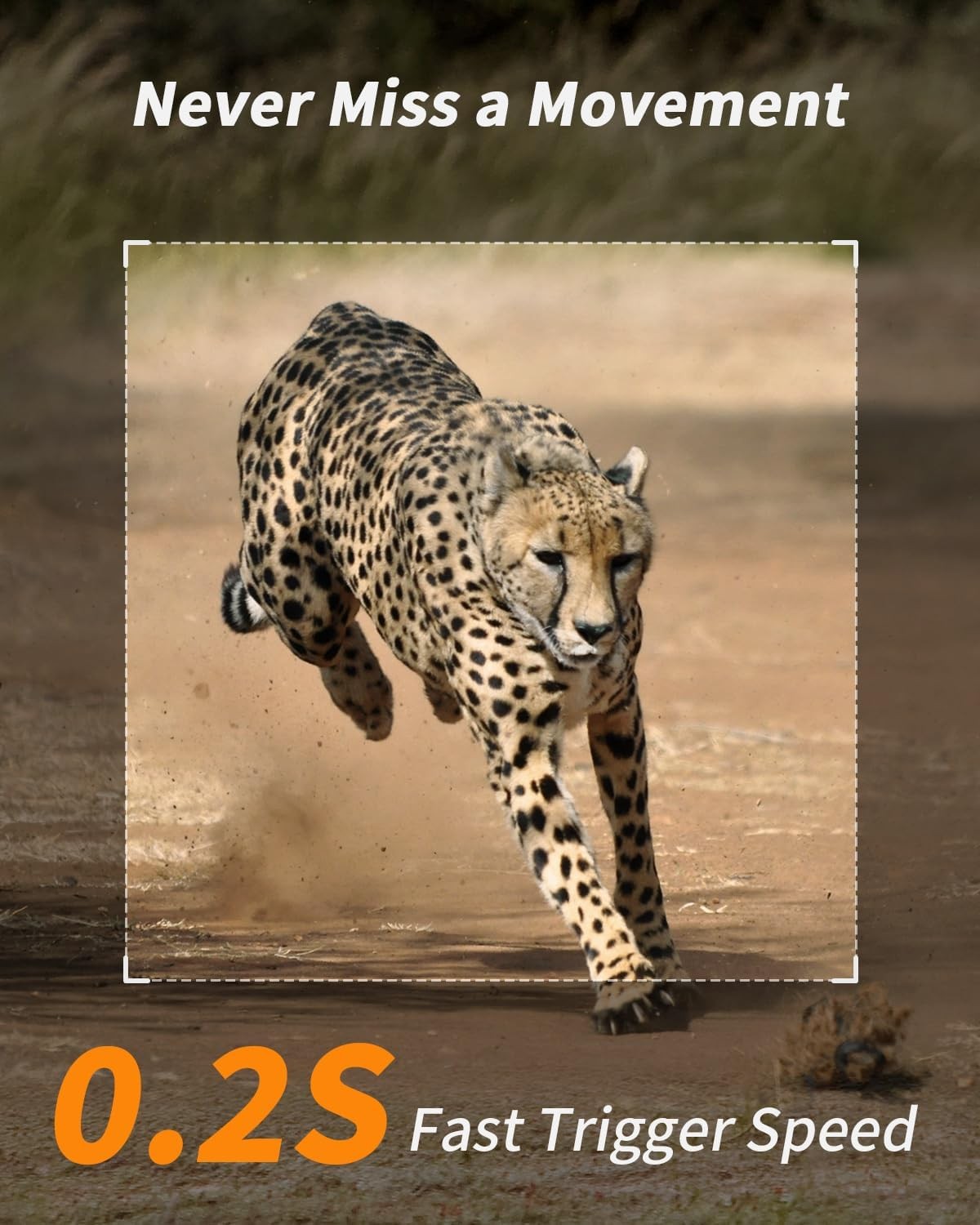 Trail Camera, Cellular Trail Camera with Built-in SIM Card 4G Unlimited Data Pla