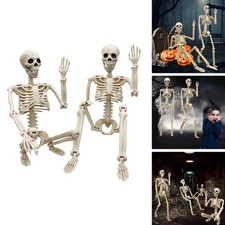 2 Pack 36" Halloween Skeleton 3 ft Life Size Human Skeleton Posable Joints