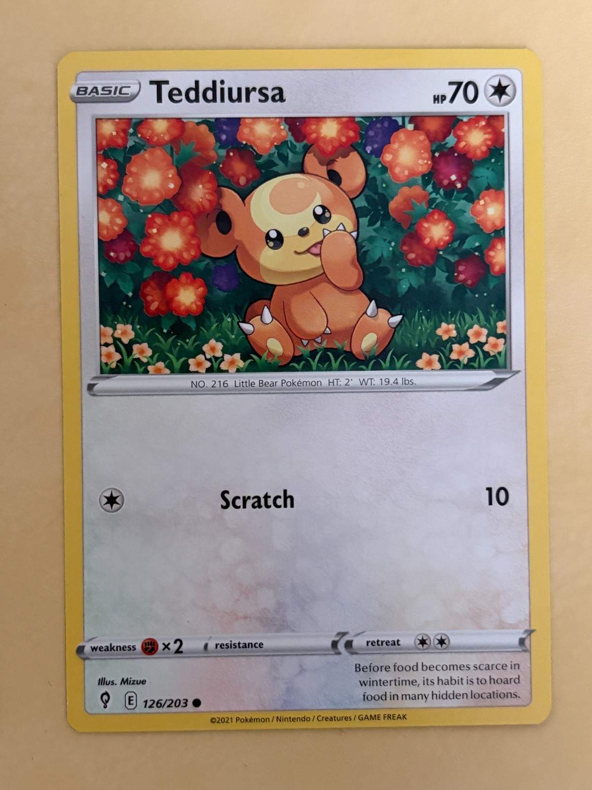 Teddiursa~Cute Pokemon Card~ Botanical Garden Gallery ~Nature