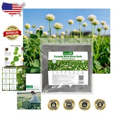 Perennial White Clover Seeds 2 Lbs - Nitrocoated, High Germination Lawn Groun...