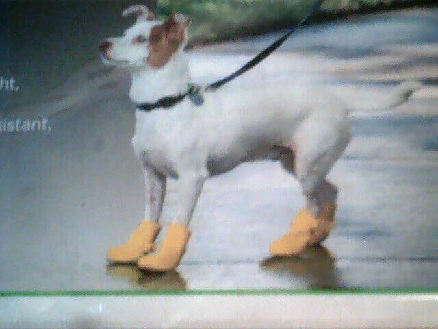 Botas Petco 4 piezas de silicona amarillas medianas para perros impermeables antideslizantes resistentes al calor nuevas en paquete Foto 2 de 4