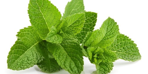 Menthol Crystals, pure USP grade, powerful mint from Mentha arvensis plant, 1 oz - Picture 2 of 2