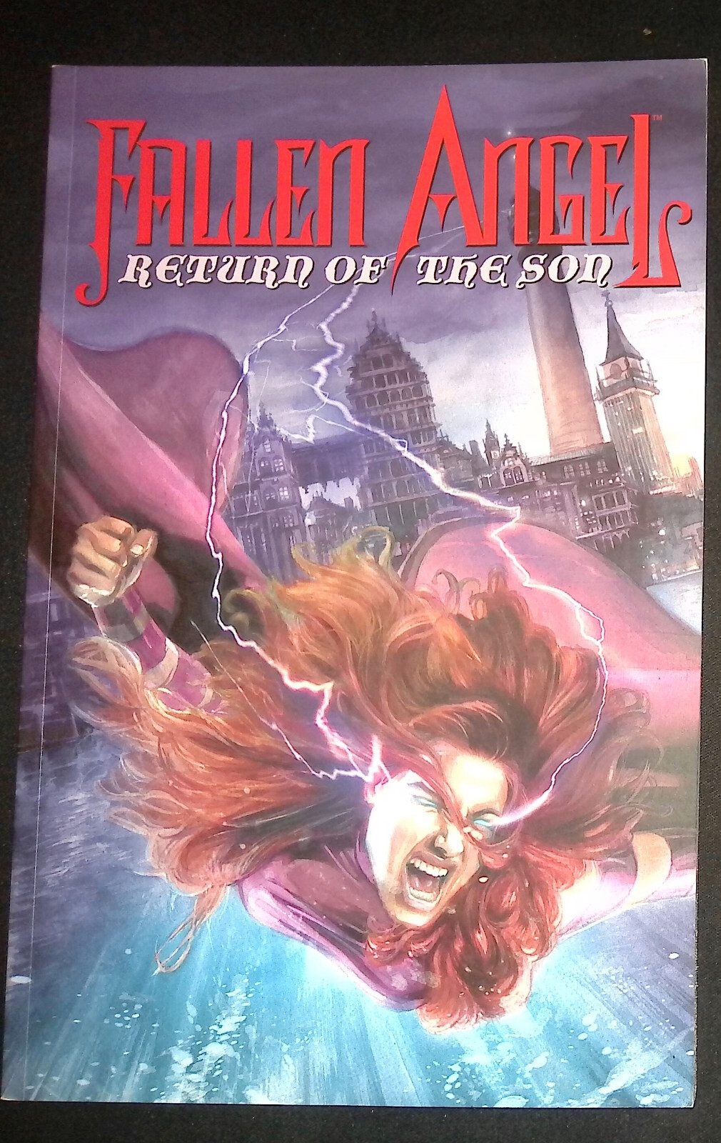 Fallen Angel Return Of The Son IDW Comics Graphic Novel Peter David