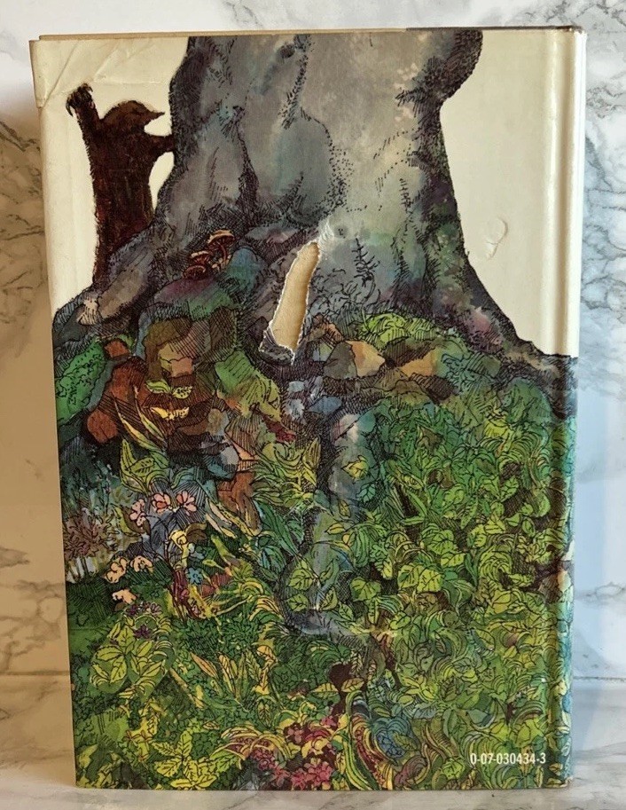 Picture 3 of 19