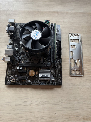 Asus PRIME H310M-A + Intel Core i5 8400 + 8GB DDR4