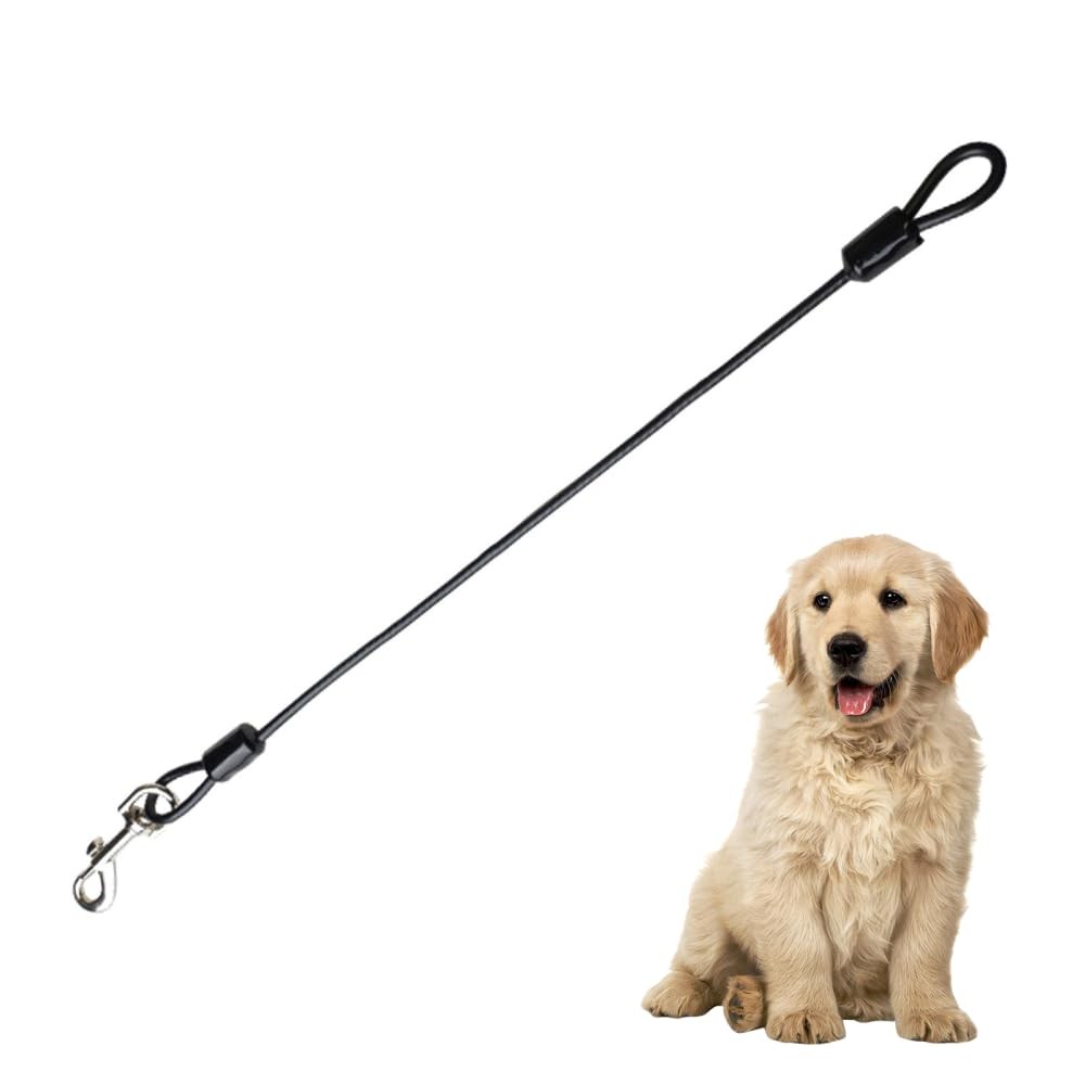 Laisse pour chien résistante mastication corde en acier anti-morsure 1.5m