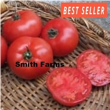 50 Seeds BHN 589 Tomato Large Juicy Easy to Grow Vegetable Garden Planting