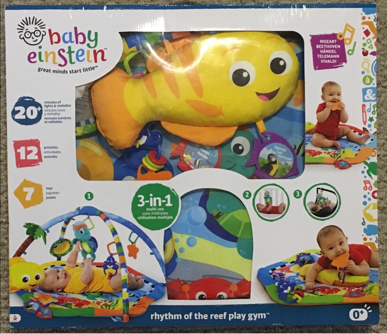 rhythm of the reef play gym