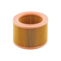 Topran 720 953 Luftfilter
