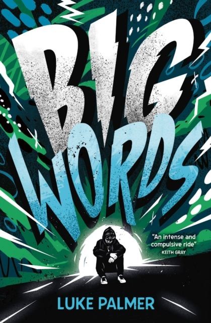 Big Words by Luke Palmer Paperback