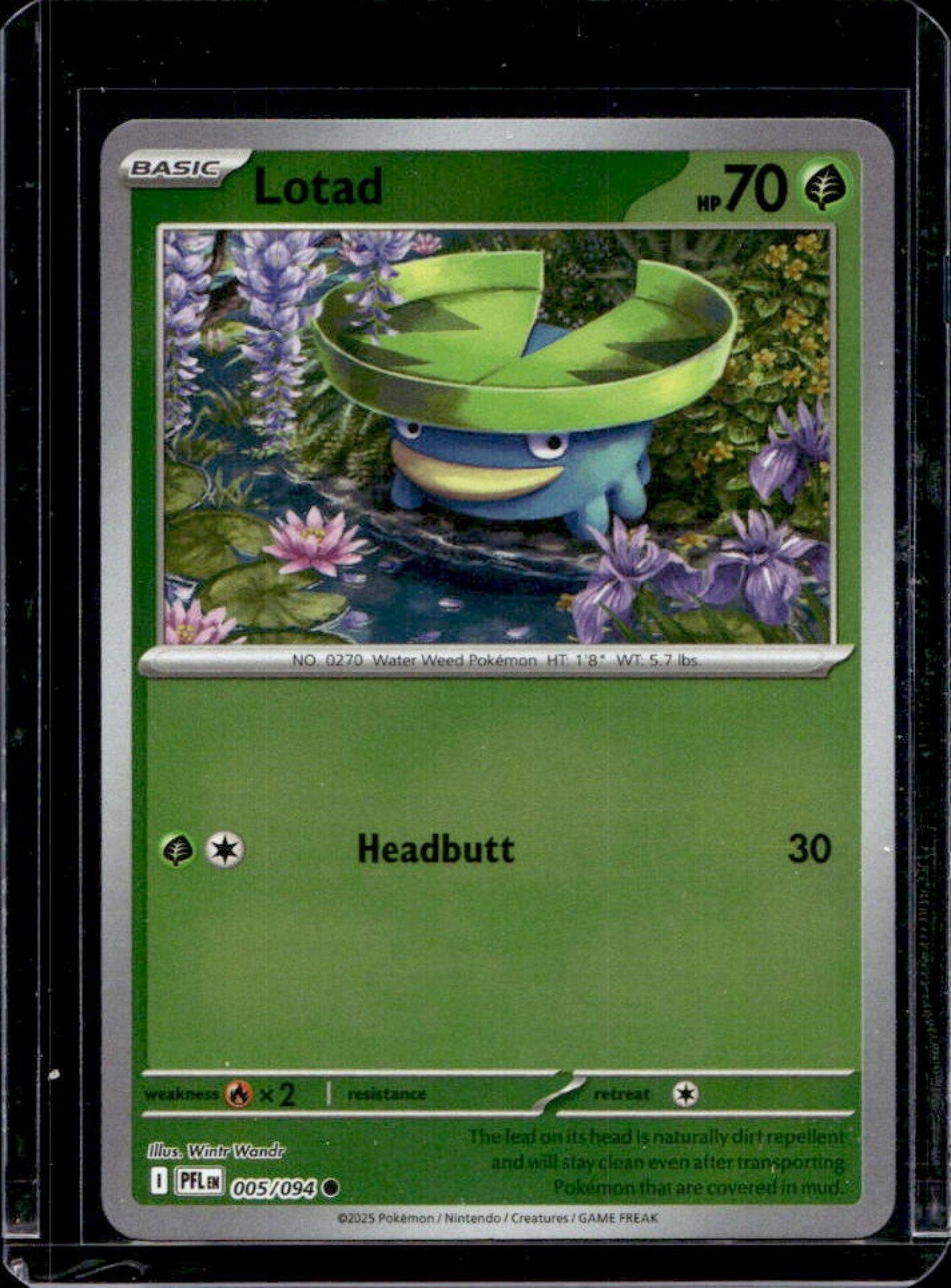 2025 Pokemon Phantasmal Flames Lotad Common #005/094