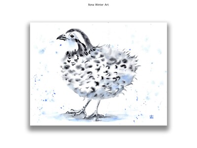 Original 6x8'' Aquarell Gemälde niedliche Wachtel Vogel Porträt von Ilona Winter